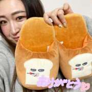 ヒメ日記 2025/11/27 21:32 投稿 いちか ちゃんこ藤沢茅ヶ崎店