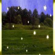 山本　ゆきえ アユの季節に YOKOHAMA FIVESTAR（横浜ファイブスター）