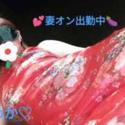 ヒメ日記 2025/06/08 11:39 投稿 ひめか 横浜 風俗 妻がオンナに変わるとき