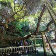 ヒメ日記 2025/07/27 23:44 投稿 ひめか 横浜 風俗 妻がオンナに変わるとき