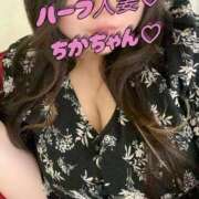 ヒメ日記 2025/04/10 16:04 投稿 ちか KIREI（五反田）