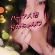 ヒメ日記 2025/04/11 21:04 投稿 ちか KIREI（五反田）