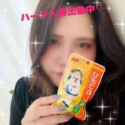 ヒメ日記 2025/05/25 15:34 投稿 ちか KIREI（五反田）