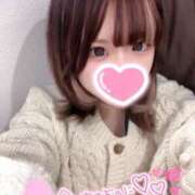 ヒメ日記 2025/04/15 10:48 投稿 あいす ルーフ福井