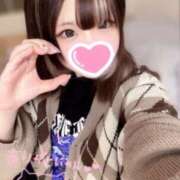 ヒメ日記 2025/04/15 12:18 投稿 あいす ルーフ福井