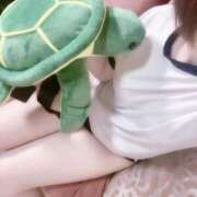 ヒメ日記 2025/04/20 19:48 投稿 あいす ルーフ福井