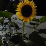 ヒメ日記 2025/10/08 22:15 投稿 らん えちちSPA-えっちな回春性感マッサージ-五反田店