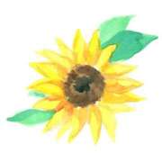 ヒメ日記 2025/07/09 21:24 投稿 月森あずき 手コキ研修塾