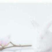 ヒメ日記 2025/07/23 19:04 投稿 月森あずき 手コキ研修塾