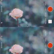 ヒメ日記 2025/08/04 22:14 投稿 月森あずき 手コキ研修塾