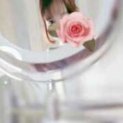 ヒメ日記 2025/09/18 10:04 投稿 月森あずき 手コキ研修塾