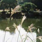 ヒメ日記 2025/09/21 00:54 投稿 月森あずき 手コキ研修塾