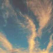 ヒメ日記 2025/09/23 20:24 投稿 月森あずき 手コキ研修塾