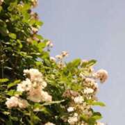 ヒメ日記 2025/09/27 17:54 投稿 月森あずき 手コキ研修塾