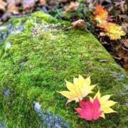 ヒメ日記 2025/10/07 11:44 投稿 月森あずき 手コキ研修塾