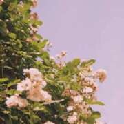 ヒメ日記 2025/11/01 20:44 投稿 月森あずき 手コキ研修塾