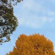 月森あずき ❣️☺️☺️☺️❣️ 手コキ研修塾