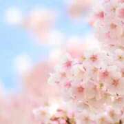 ヒメ日記 2026/02/26 13:14 投稿 月森あずき 手コキ研修塾