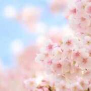 ヒメ日記 2026/04/12 00:54 投稿 月森あずき 手コキ研修塾