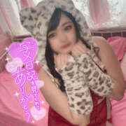 ヒメ日記 2025/04/09 13:51 投稿 ソイ 八尾藤井寺羽曳野ちゃんこ