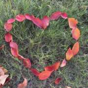 ヒメ日記 2025/11/20 08:00 投稿 せれな 学校帰りの妹に手コキしてもらった件 谷九