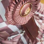 ヒメ日記 2026/03/15 08:00 投稿 せれな 学校帰りの妹に手コキしてもらった件 谷九