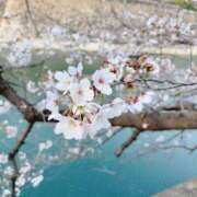 ヒメ日記 2026/04/06 08:00 投稿 せれな 学校帰りの妹に手コキしてもらった件 谷九