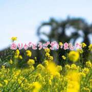 ヒメ日記 2025/04/18 21:50 投稿 鈴谷美晴 五十路マダムエクスプレス船橋店(カサブランカグループ)