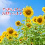 ヒメ日記 2025/07/14 11:44 投稿 鈴谷美晴 五十路マダムエクスプレス船橋店(カサブランカグループ)