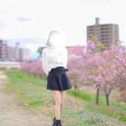 ヒメ日記 2026/04/20 23:18 投稿 ♡つゆ♡ アイコレクション女学院