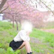 ヒメ日記 2026/05/02 06:28 投稿 ♡つゆ♡ アイコレクション女学院