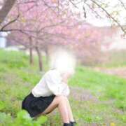 ヒメ日記 2026/05/12 10:18 投稿 ♡つゆ♡ アイコレクション女学院
