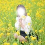 ヒメ日記 2026/05/22 15:38 投稿 ♡つゆ♡ アイコレクション女学院