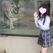 ヒメ日記 2026/08/08 18:15 投稿 ♡つゆ♡ アイコレクション女学院