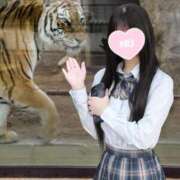 ヒメ日記 2026/08/31 08:18 投稿 ♡つゆ♡ アイコレクション女学院