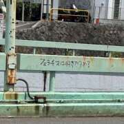 ヒメ日記 2025/05/11 14:15 投稿 なる E+アイドルスクール船橋店