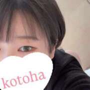 ヒメ日記 2025/04/19 12:11 投稿 ことは 11チャンネル