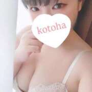 ヒメ日記 2025/04/27 12:09 投稿 ことは 11チャンネル