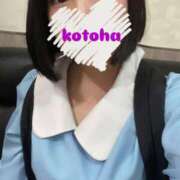 ヒメ日記 2025/08/16 19:21 投稿 ことは 11チャンネル