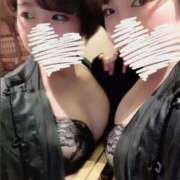 ヒメ日記 2025/12/16 12:00 投稿 ことは 11チャンネル