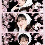 ヒメ日記 2026/05/03 12:09 投稿 けい SEXIS-セクシーズ-
