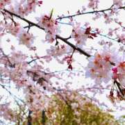 ヒメ日記 2025/04/07 22:41 投稿 夜 クラリスDAO