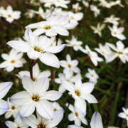 ヒメ日記 2025/06/04 22:47 投稿 夜 クラリスDAO