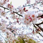 ヒメ日記 2025/06/11 22:32 投稿 夜 クラリスDAO