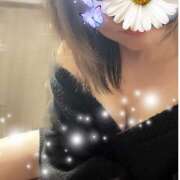 ヒメ日記 2025/06/30 00:48 投稿 夜 クラリスDAO