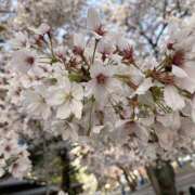 ヒメ日記 2025/07/06 07:54 投稿 夜 クラリスDAO