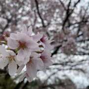 ヒメ日記 2025/07/06 20:29 投稿 夜 クラリスDAO