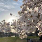 ヒメ日記 2025/07/25 22:17 投稿 夜 クラリスDAO