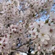 ヒメ日記 2025/07/31 11:08 投稿 夜 クラリスDAO