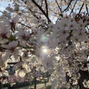 ヒメ日記 2025/08/16 23:19 投稿 夜 クラリスDAO